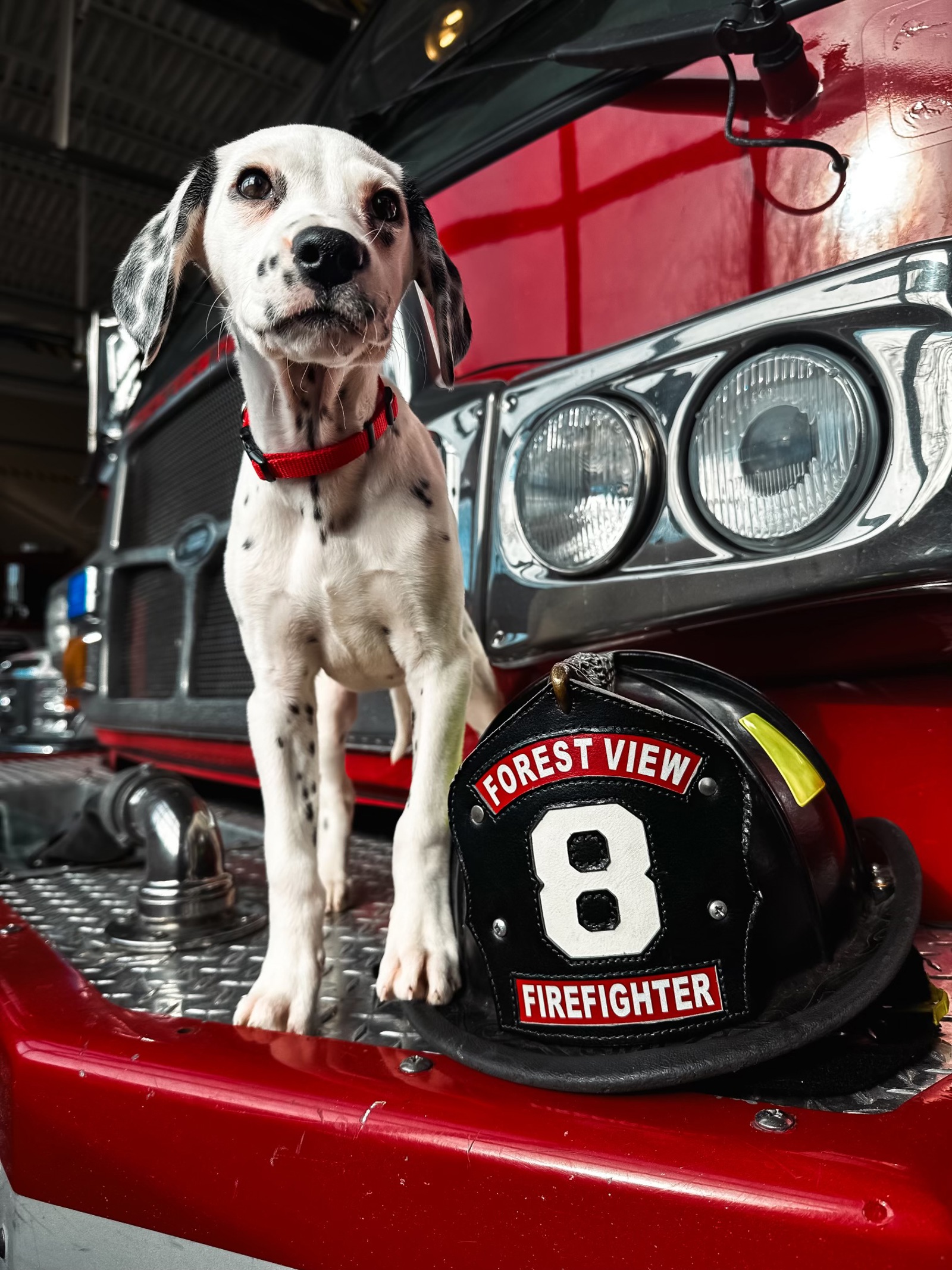 Cinder With Fire Helmet